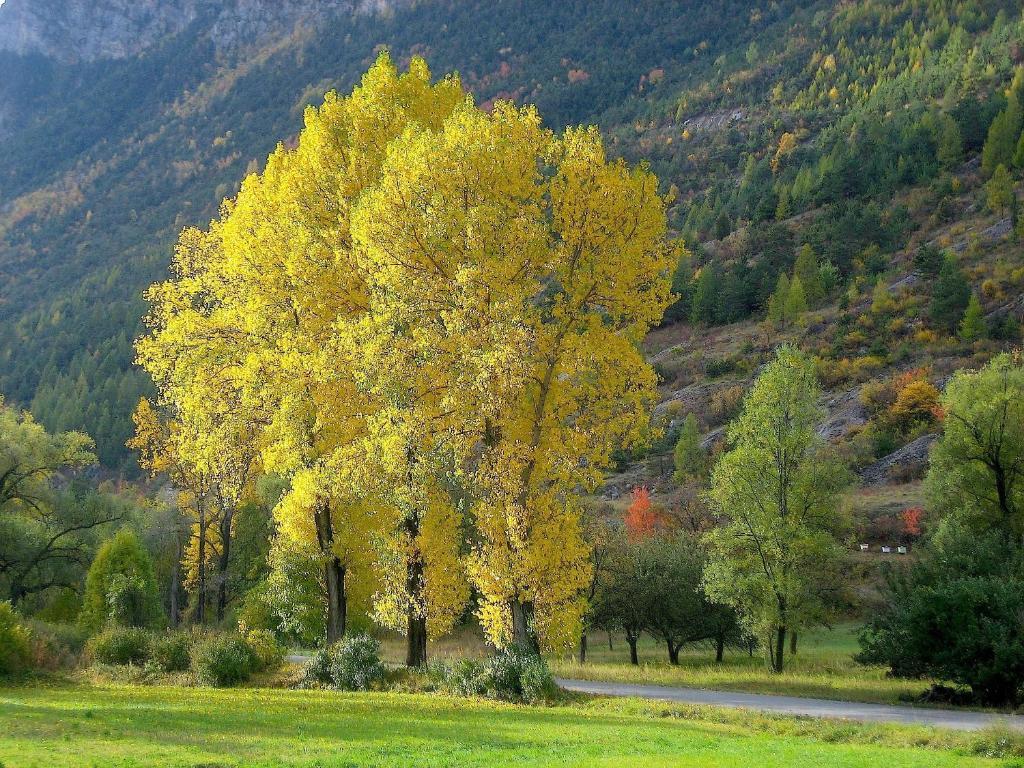 Chambres D'Hotes La Pierre D'Oran LʼArgentière-la-Bessée Exteriér fotografie